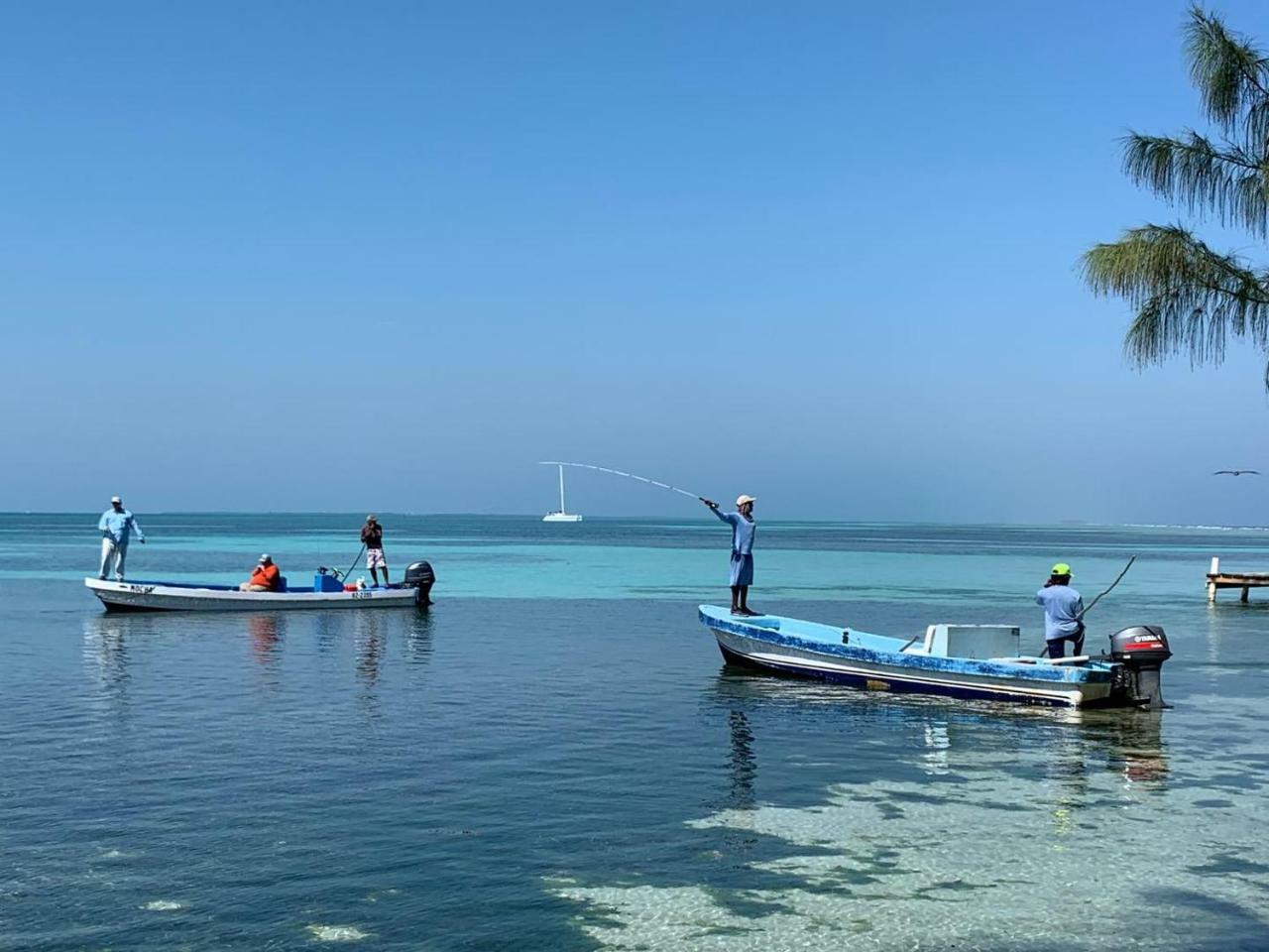 Blue Marlin Beach Resort Dangriga Exterior foto